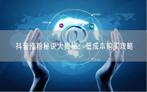 抖音涨粉秘诀大揭秘:低成本购买攻略