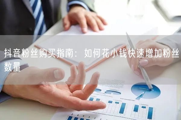 抖音粉丝购买指南:如何花小钱快速增加粉丝数量