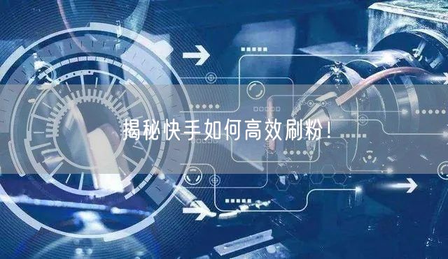 揭秘快手如何高效刷粉！