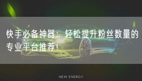快手必备神器:轻松提升粉丝数量的专业平台推荐!