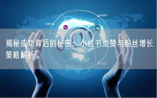 揭秘成功背后的秘密:小红书点赞与粉丝增长策略解析。