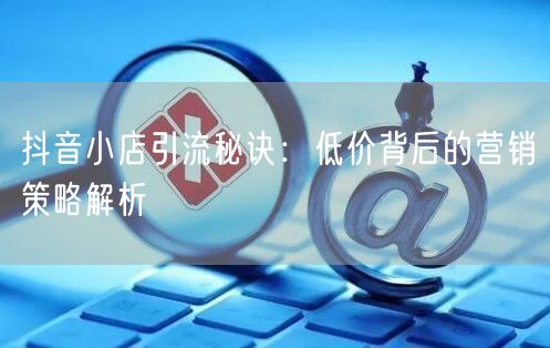 抖音小店引流秘诀:低价背后的营销策略解析