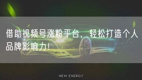 借助视频号涨粉平台,轻松打造个人品牌影响力!