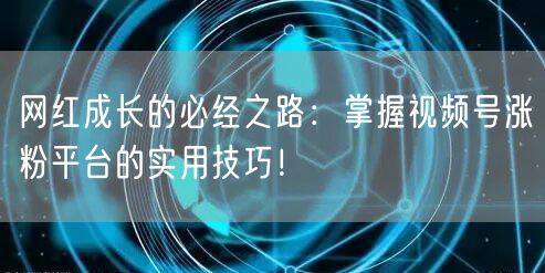 网红成长的必经之路:掌握视频号涨粉平台的实用技巧!