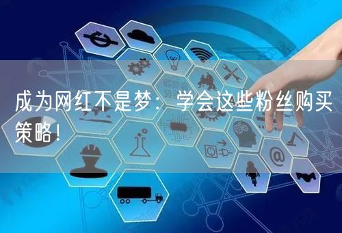 成为网红不是梦:学会这些粉丝购买策略!